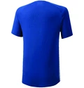 Heren T-shirt Mizuno  Shadow Polo Blue