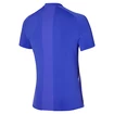 Heren T-shirt Mizuno Shadow Polo Violet Blue