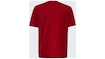 Heren T-shirt Oakley  O-BOLD ELLIPSE