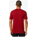 Heren T-shirt Oakley  O-BOLD ELLIPSE