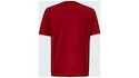 Heren T-shirt Oakley  O-BOLD ELLIPSE