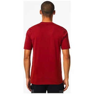 Heren T-shirt Oakley  O-BOLD ELLIPSE