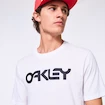 Heren T-shirt Oakley  O-BOLD ELLIPSE