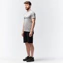 Heren T-shirt Salewa  Solidlogo Dri-Release Heather Grey