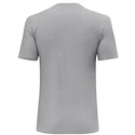 Heren T-shirt Salewa Solidlogo Dri-Release Heather Grey