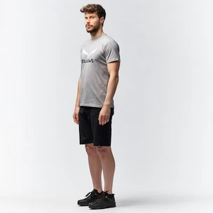 Heren T-shirt Salewa  Solidlogo Dri-Release Heather Grey