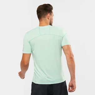 Heren T-shirt Salomon