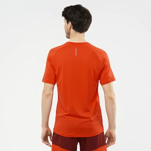 Heren T-shirt Salomon Cross Run SS Tee Fiery Red
