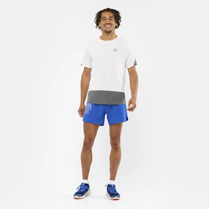 Heren T-shirt Salomon Cross Run SS Tee White/Black
