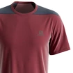 Heren T-shirt Salomon Outline SS Tee Cabernet