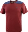 Heren T-shirt Salomon Outline SS Tee Cabernet