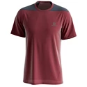 Heren T-shirt Salomon Outline SS Tee Cabernet