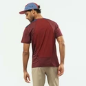 Heren T-shirt Salomon  Outline SS Tee Cabernet
