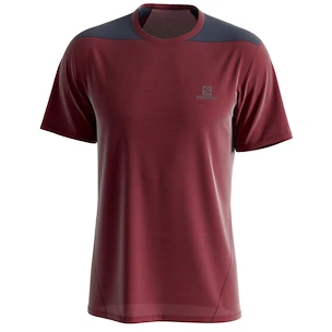 Heren T-shirt Salomon  Outline SS Tee Cabernet
