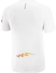 Heren T-shirt Salomon Sense Aero SS Tee White/Autumn Blaze