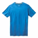 Heren T-shirt Smartwool   M Merino 150 Baselayer SS BXD