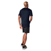 Heren T-shirt Smartwool  M Merino 150 Baselayer SS BXD