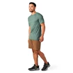 Heren T-shirt Smartwool  Merino Sport 120 Mountain Biking Sage Heather