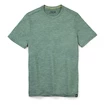 Heren T-shirt Smartwool  Merino Sport 120 Mountain Biking Sage Heather