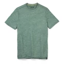 Heren T-shirt Smartwool  Merino Sport 120 Mountain Biking Sage Heather