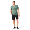 Heren T-shirt Smartwool Merino Sport 150 Overland Trek Sage Heather