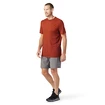 Heren T-shirt Smartwool Merino Sport 150 Tech Tee Picante