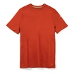 Heren T-shirt Smartwool  Merino Sport 150 Tech Tee Picante