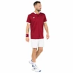 Heren T-shirt Tecnifibre Club Polo Cardinal