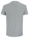 Heren T-shirt Tecnifibre Club Tech Tee Silver