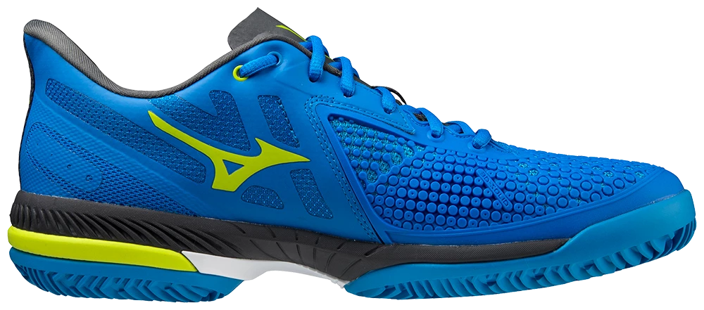 Heren tennisschoenen Mizuno Wave Exceed Tour 5 Clay PBlue