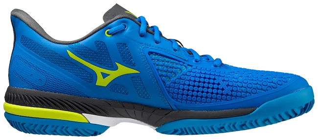 Heren tennisschoenen Mizuno Wave Exceed Tour 5 Clay PBlue
