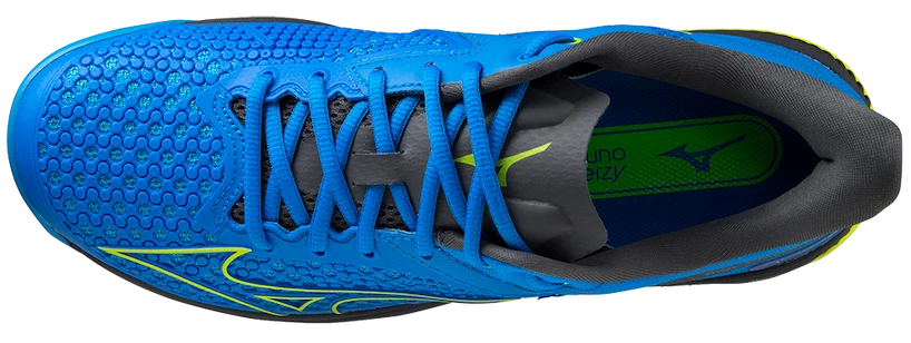 Heren tennisschoenen Mizuno Wave Exceed Tour 5 Clay PBlue  EUR 44,5