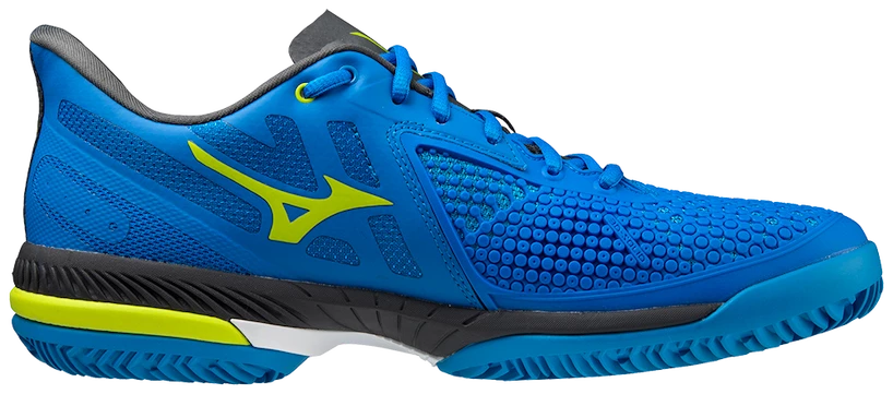 Heren tennisschoenen Mizuno Wave Exceed Tour 5 Clay PBlue  EUR 44,5
