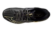 Heren tennisschoenen Mizuno Wave Exceed TOUR 6 CC 10th Iron Gate/Gold/Black