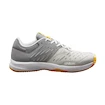 Heren tennisschoenen Wilson Kaos Comp 3.0 Lunar Rock  EUR 42 2/3