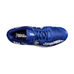 Heren tennisschoenen Wilson Rush Pro 4.0 Hope Paris Clay