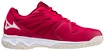 Heren zaalschoenen Mizuno  Lightning Star Z6 Junior Red White