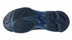 Heren zaalschoenen Mizuno  Wave Lightning Z7