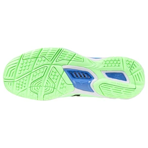 Heren zaalschoenen Mizuno  Wave STEALTH 6 Neo Mint/Black  EUR 44