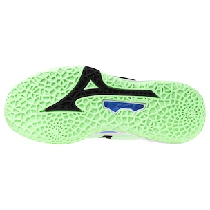 Heren zaalschoenen Mizuno  Wave STEALTH NEO 2 Neo Mint/Black  EUR 43