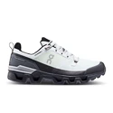 Heren zaalschoenen On Cloudwander Cloudwander Waterproof Glacier/Eclipse
