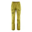 Herenbroek Klättermusen  Grimner Pant Meadow Green/Meadow Green XL