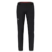 Herenbroek Salewa  Pedroc 4 DST M Reg Pants  M