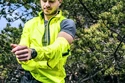 Herenjack Silvini  Vetta