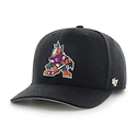 Herenpet 47 Brand  NHL Arizona Coyotes Cold Zone ’47 MVP DP