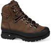 Herenschoenen Hanwag  Nazcat GTX hnědá
