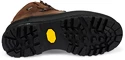 Herenschoenen Hanwag  Nazcat GTX hnědá