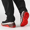 Herenschoenen Salomon  Cross Hike GTX 2