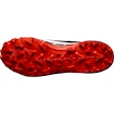 Herenschoenen Salomon  Cross Hike GTX 2