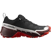 Herenschoenen Salomon  Cross Hike GTX 2